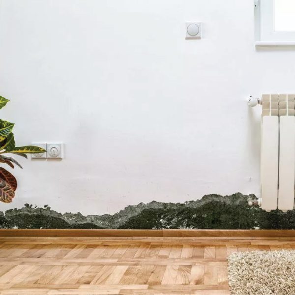 happy-restoration-thumb-02 happy-restoration-thumb-02